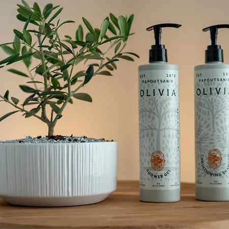 Apartamento Ermou 55 Hive 4 *